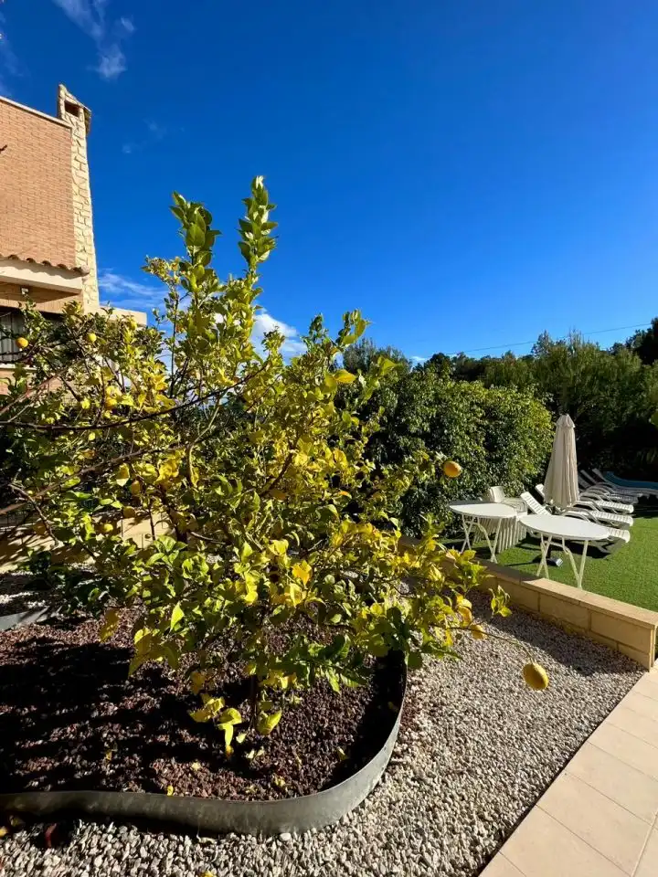 Jardín de Casa o chalet en venta en La Nucia con Aire acondicionado, Calefacción y Terraza