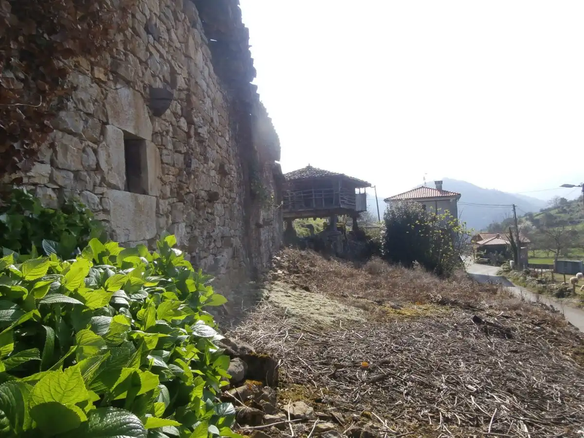Maison à vendre à Grado, imagen 10