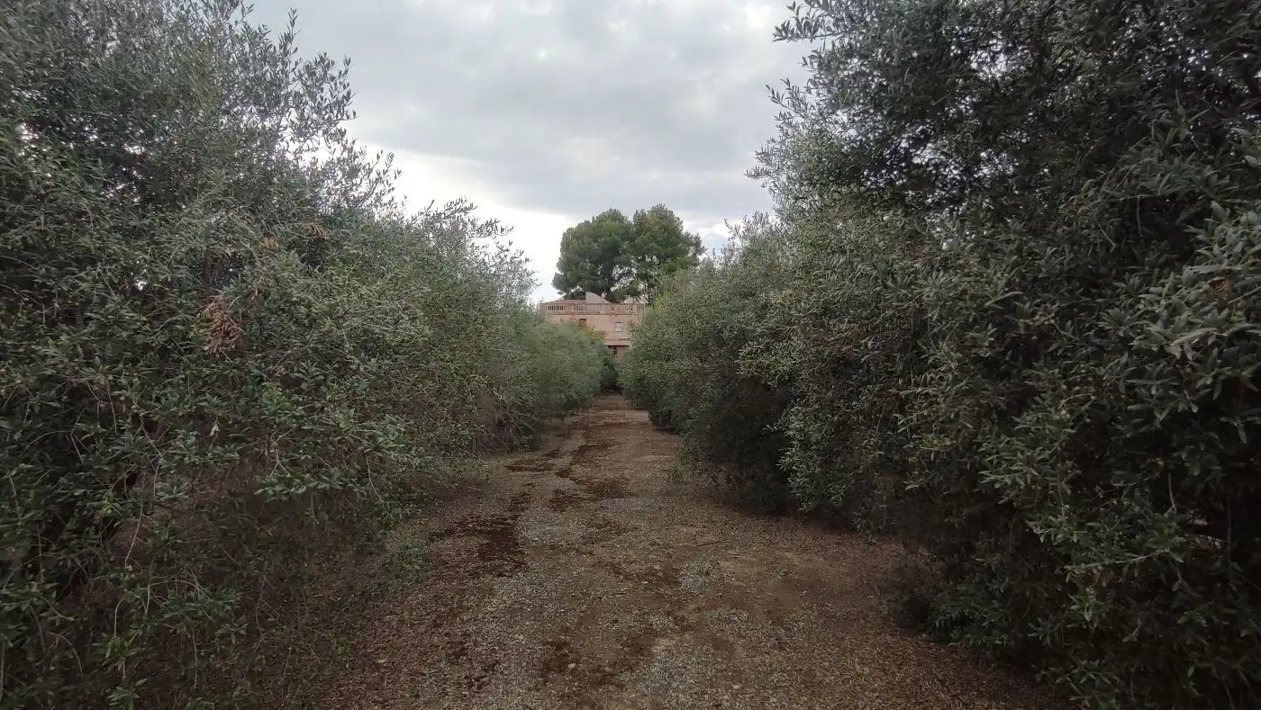Finca rústica en venda en Valls amb Calefacció, Jardí privat i Terrassa