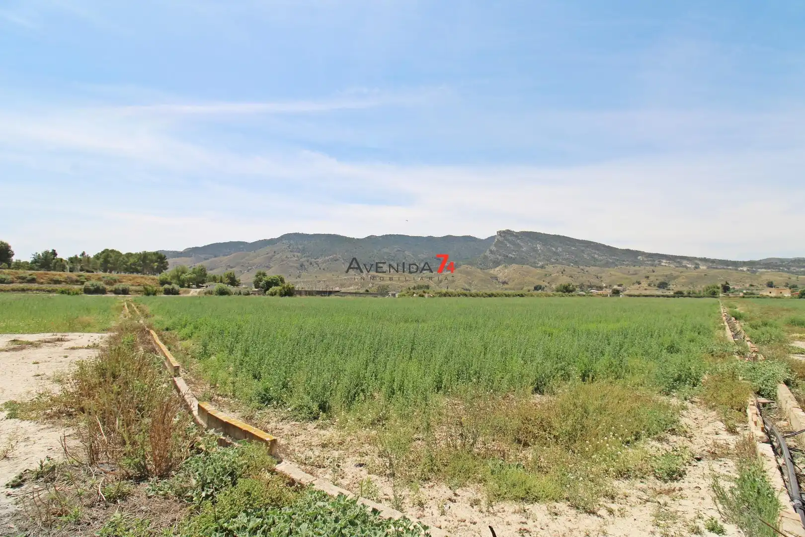 Terrains et parcelles à vendre à Lorca Ciudad, imagen 6