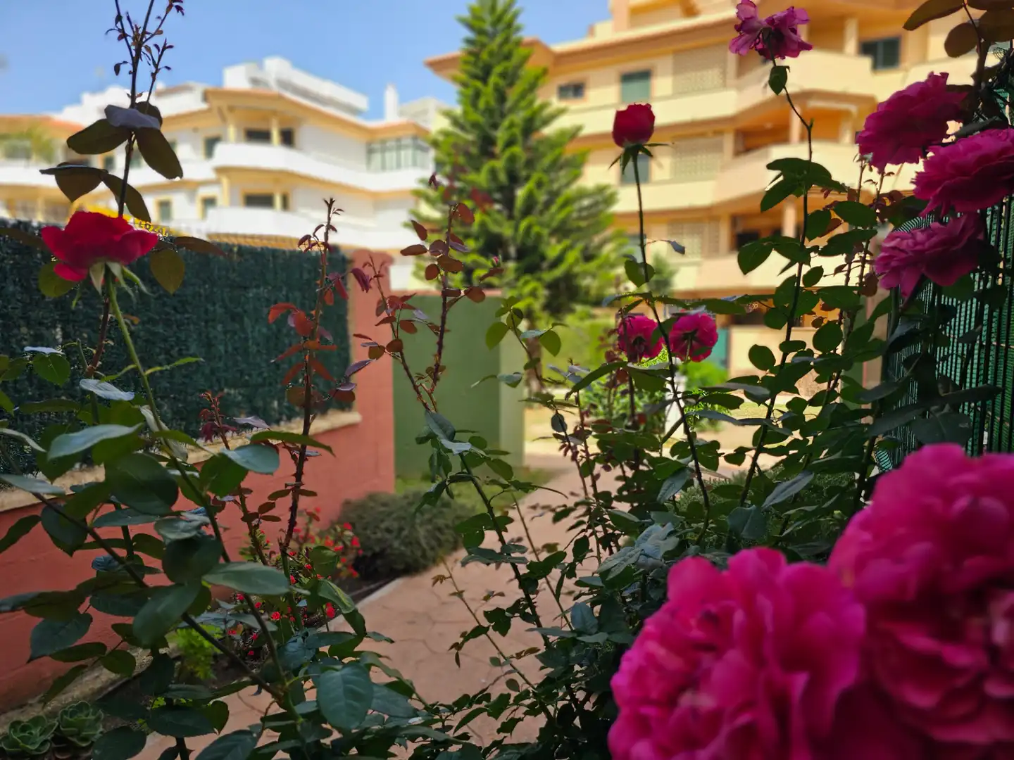 Garden of Flat for rent in Zahara de los Atunes  with Terrace, Furnished and Washing machine