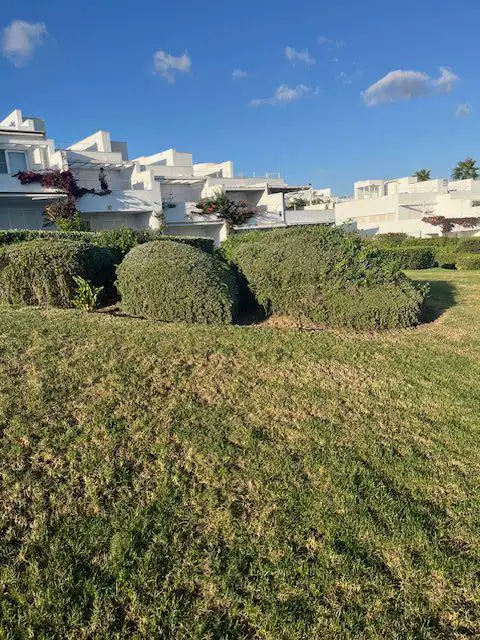 Villa à louer à Paseo Marítimo - San José - La Laguna, imagen 20