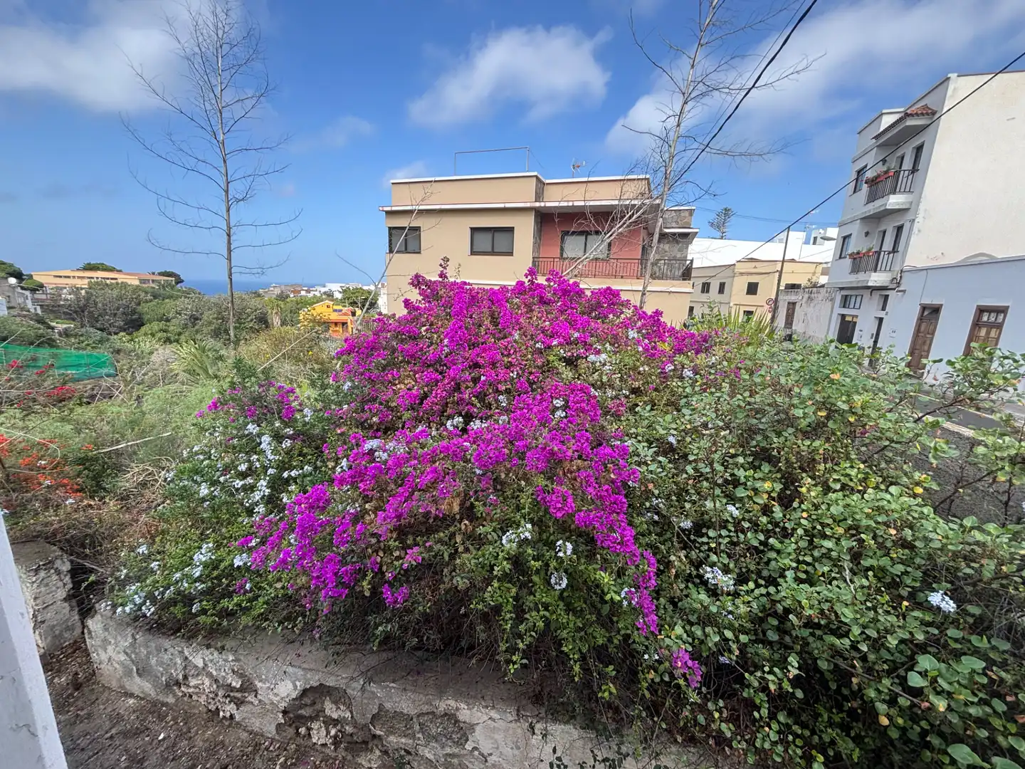 Vista exterior de Casa o xalet en venda en Buenavista del Norte amb Jardí privat i Terrassa