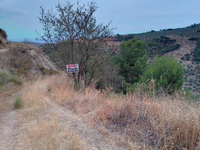 Terreno en Venta en Calle Fuente y Prado en Montefrío