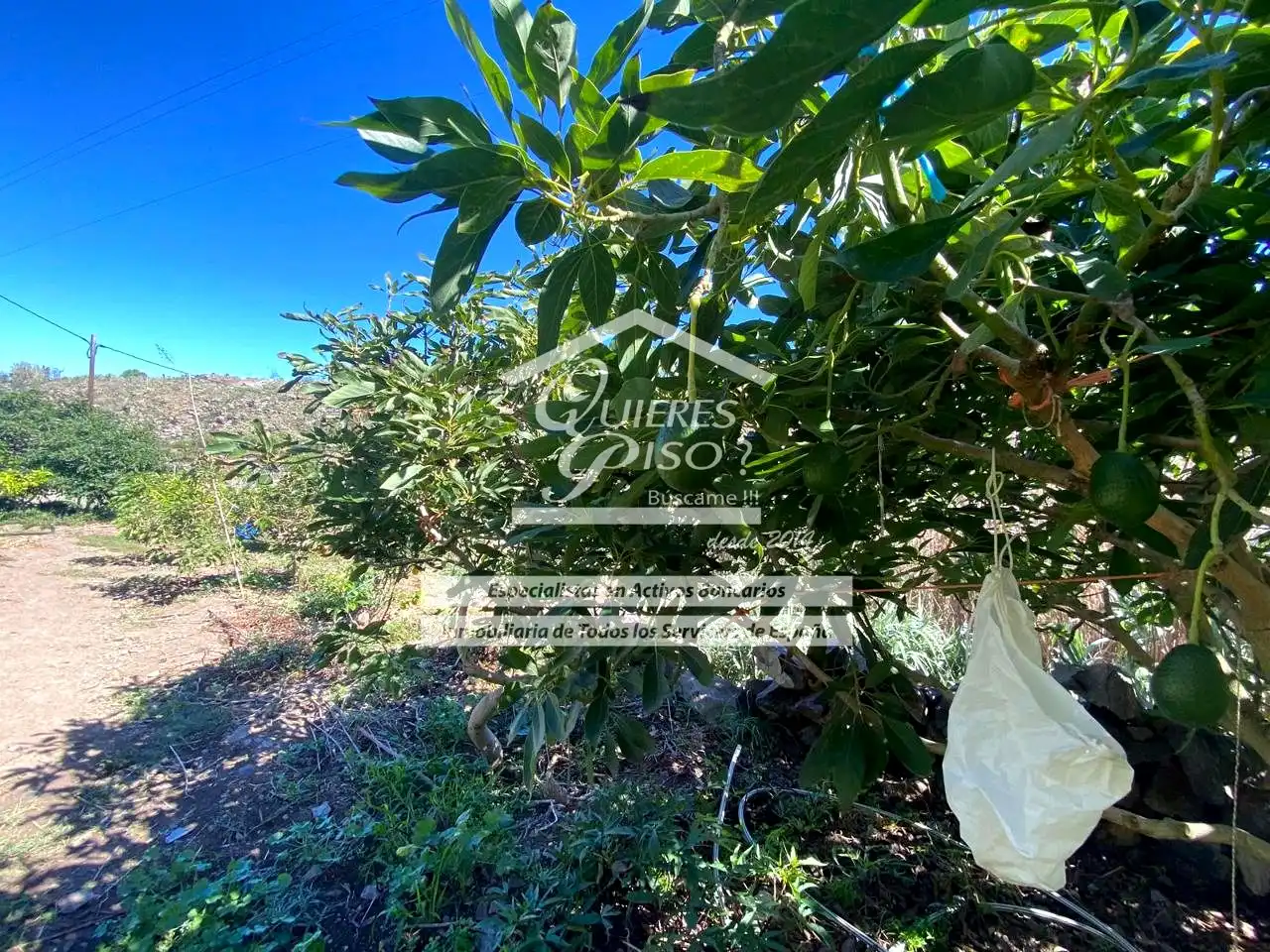 Maison rustique avec jardin à vendre à Casas de Aguilar, imagen 24