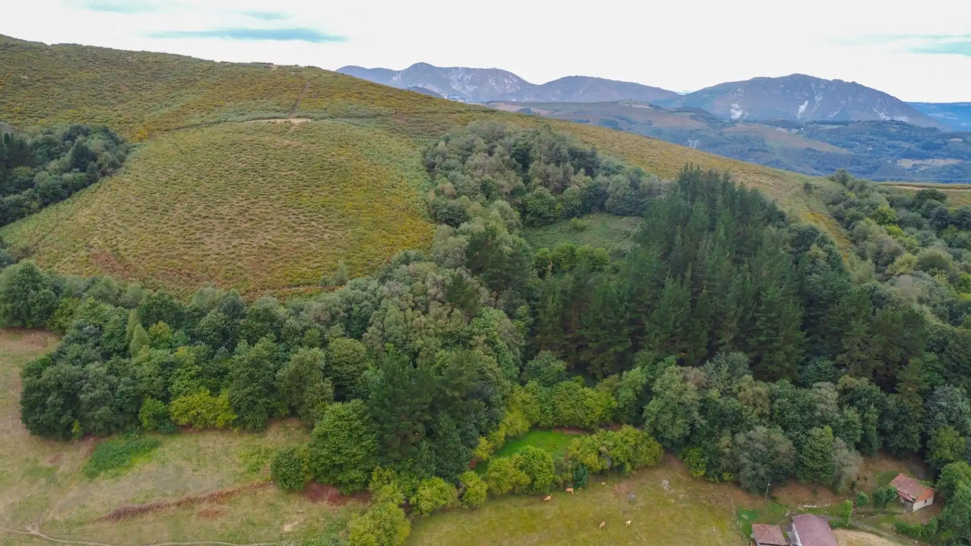 Finca rústica en venda a Lugar Santianes, Grado
