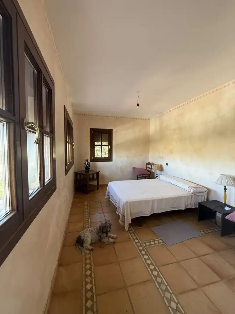 Detached house for sale in VALLE ROMANO 34, imagen 19