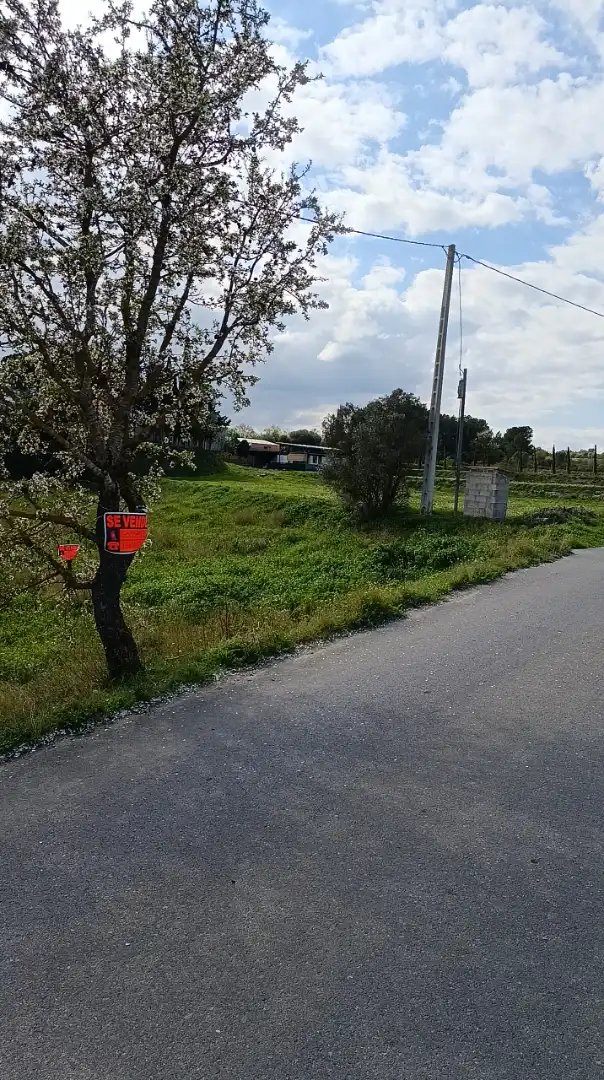 Terreno en venta en Móra d'Ebre