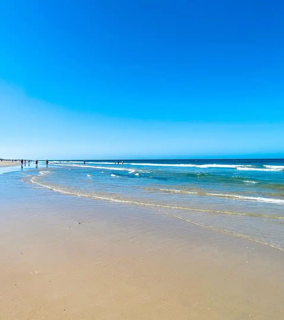Piso con piscina en venta en Las Tres Piedras - Costa Ballena, imagen 19