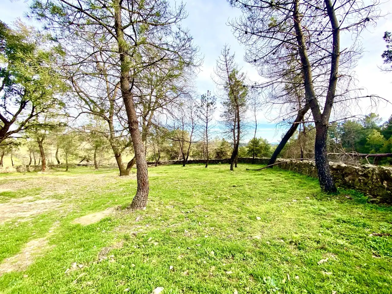 Finca rústica en venta en Villanueva de la Vera con Calefacción, Jardín privado y Parquet