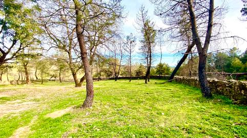 Photo 3 of Country house for sale in Villanueva de la Vera, Cáceres