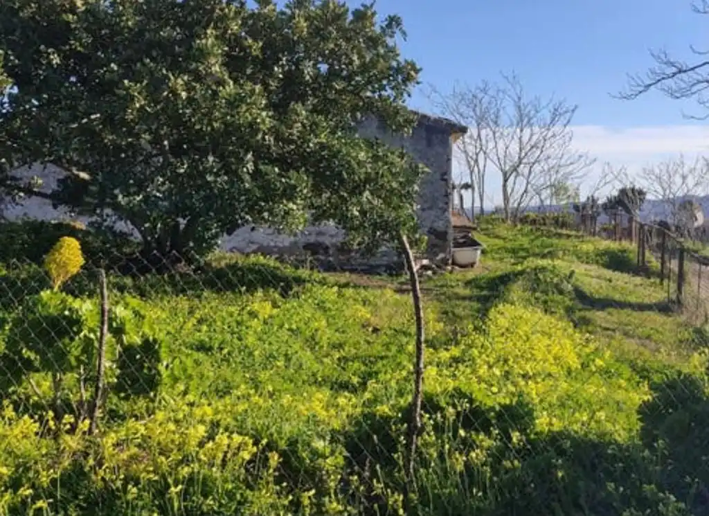 Finca rústica en venda en Vélez-Málaga