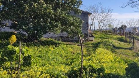 Foto 2 de Finca rústica en venda a Norte - Barrio del Pilar - El Reñidero, Málaga