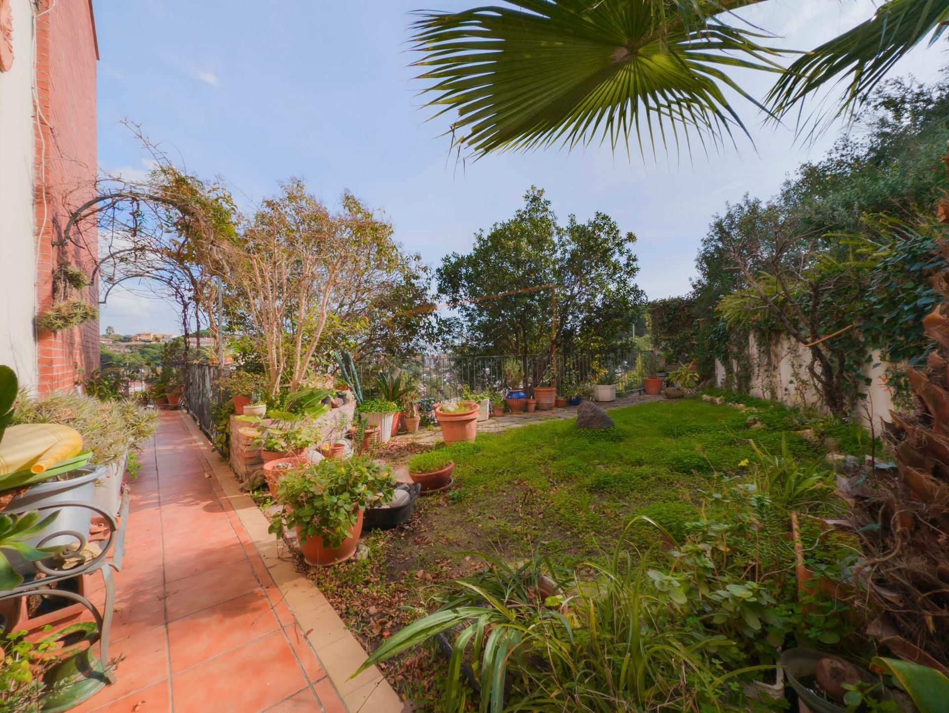 Jardí de Casa o xalet en venda en Caldes d'Estrac amb Calefacció, Jardí privat i Terrassa