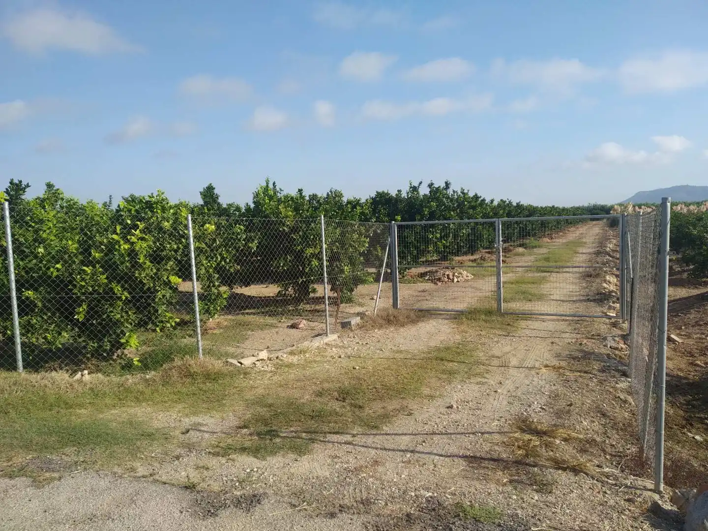 Lands and plots for sale in Favara, imagen 7