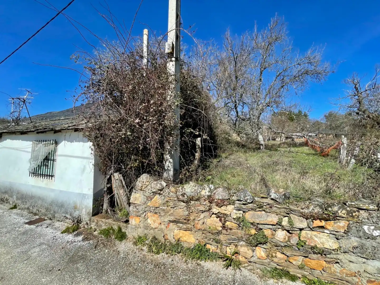 Terreni e lotti in vendita a Calle CEMENTERIO-OCERO, imagen 3