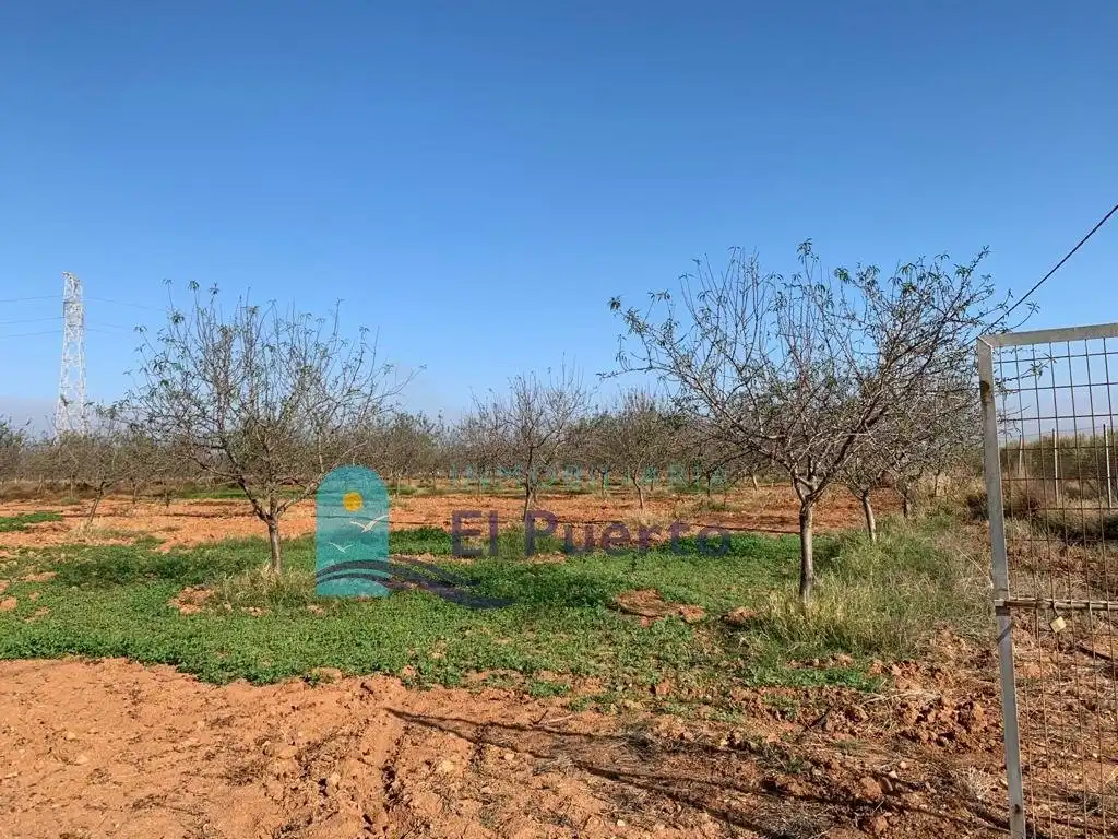 Terreno rústico en venta en Pedanías Oeste, imagen 16