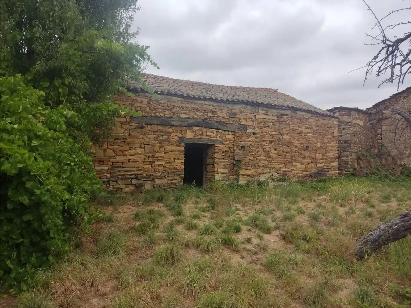 Exterior view of Ground floor for sale in Santa Colomba de Somoza  with Private garden
