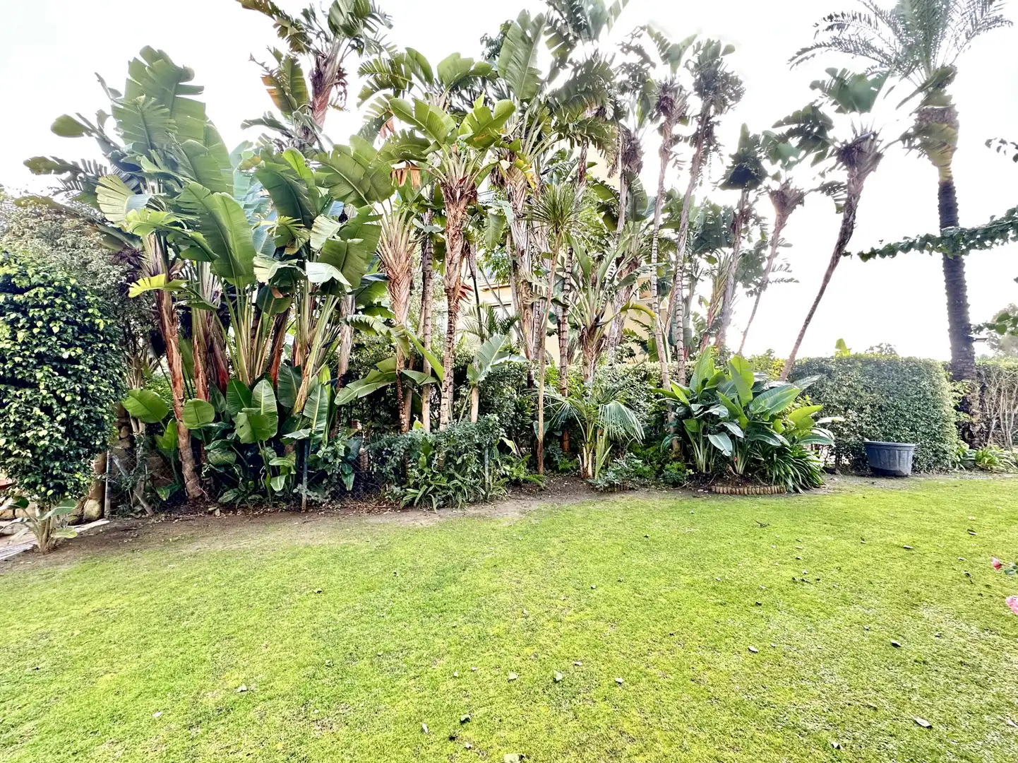 Erdgeschosswohnung mit Pool zum Verkauf in Puerto de Sotogrande - La Marina, imagen 5
