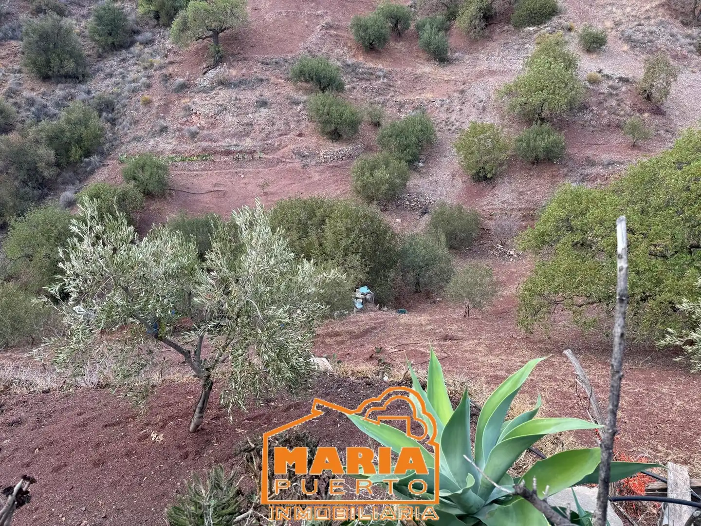 Terreno rustico in vendita a Puerto de la Torre - Atabal, imagen 6