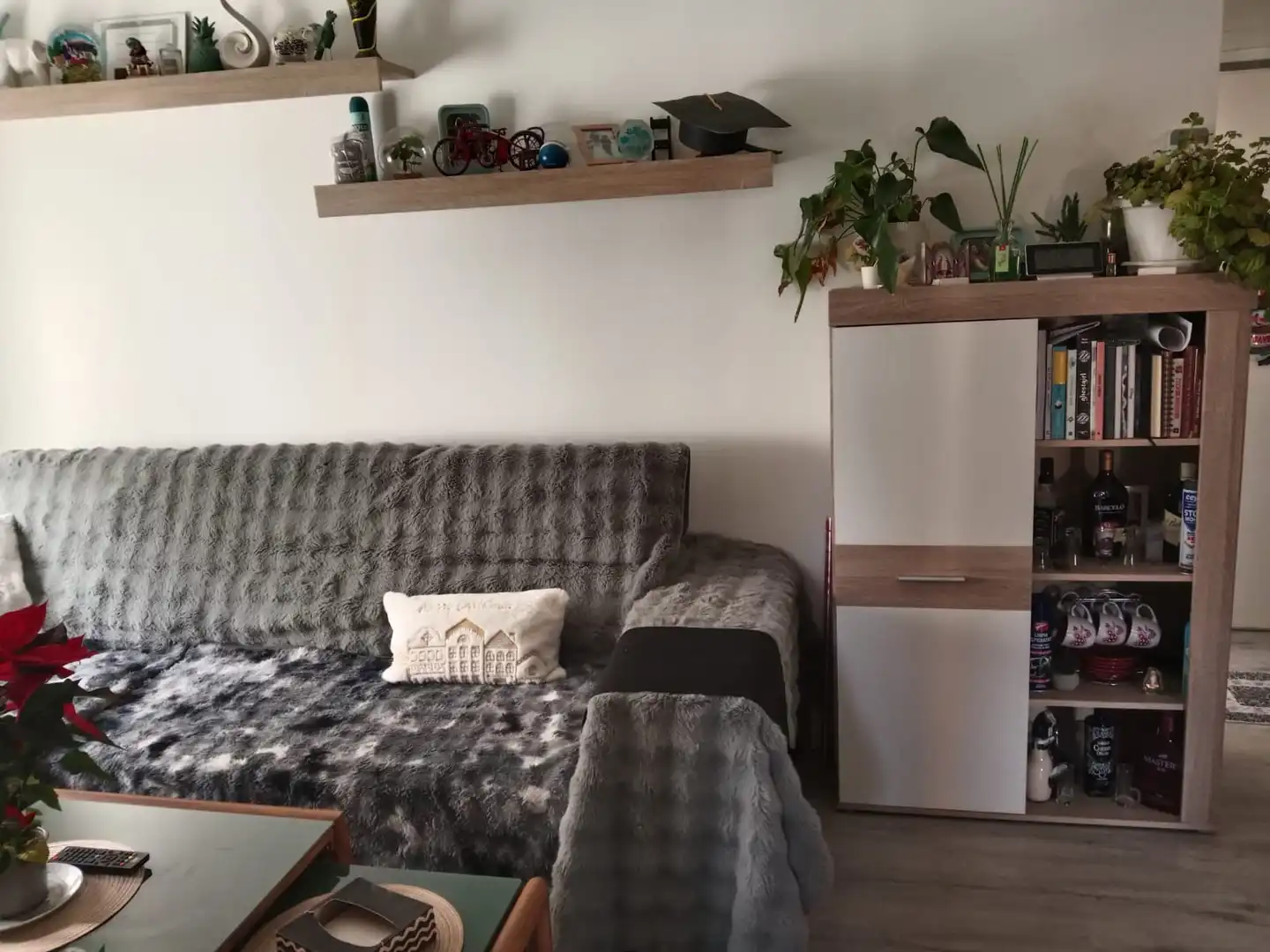 Sala d'estar de Pis en venda en Oviedo  amb Calefacció i Moblat