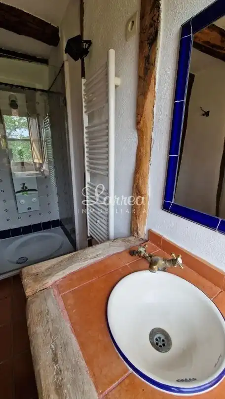 Bathroom of Detached homes for sale in Zeberio  with Heating and Furnished
