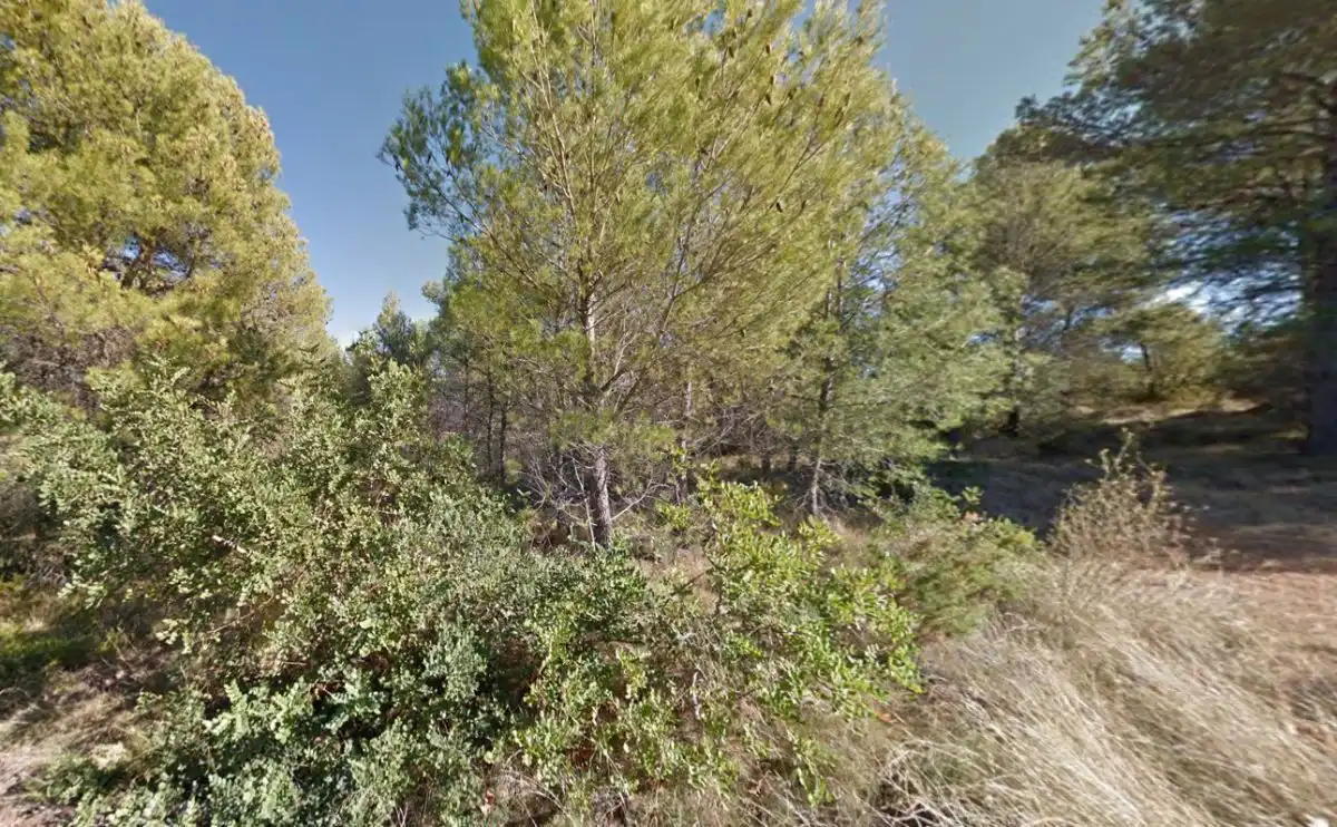 Rural land for sale in Onda, imagen 8