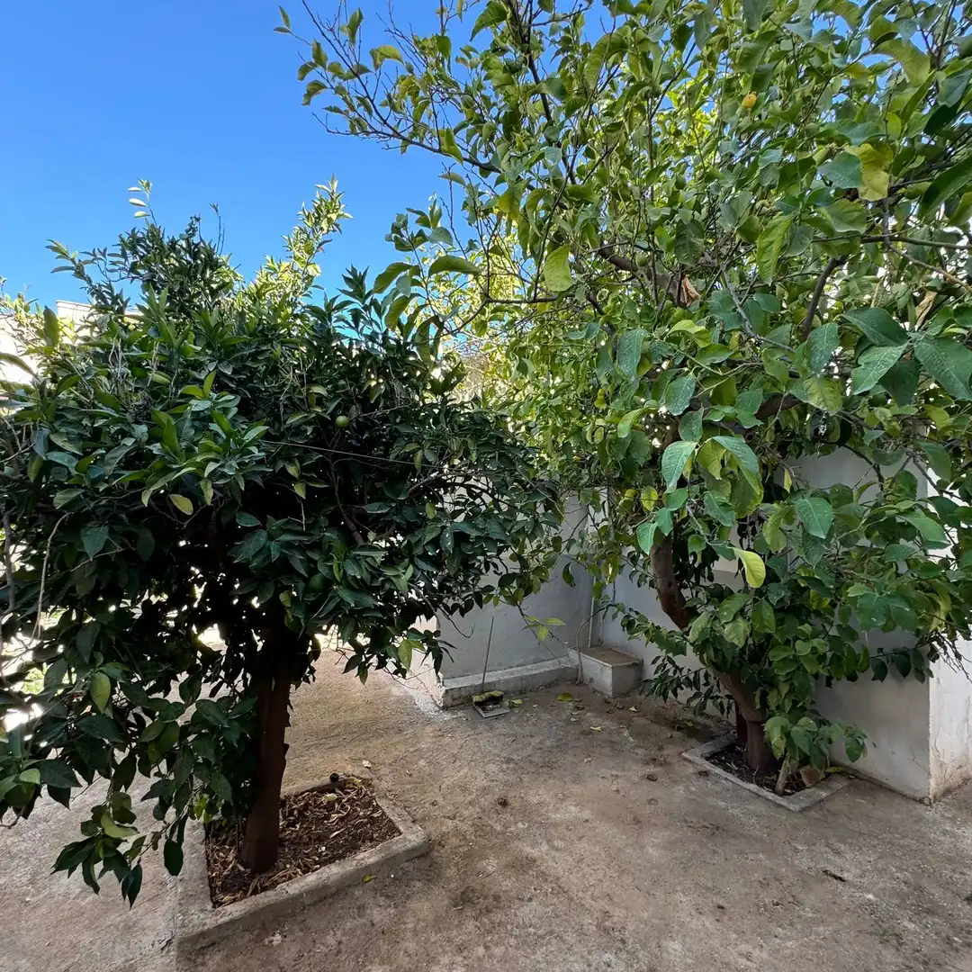 House with garden for sale in Periana, imagen 9