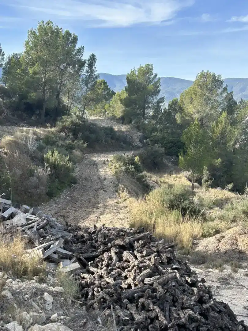 Finca rústica en venda en Tibi