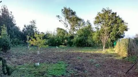 Foto 4 de Finca rústica en venda a Pista la Cancela, 97, El Tanque, Santa Cruz de Tenerife