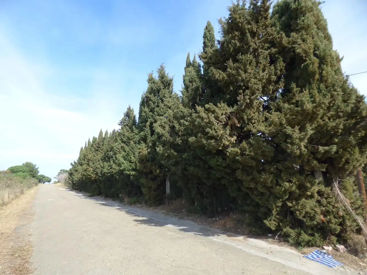 Terreny residencial en venda a Palafolls, imagen 2