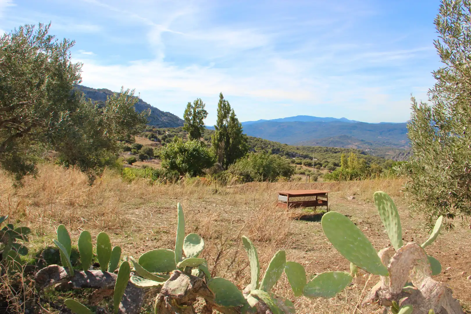 Casa o xalet en venda en Benaocaz amb Jardí privat, Terrassa i Traster