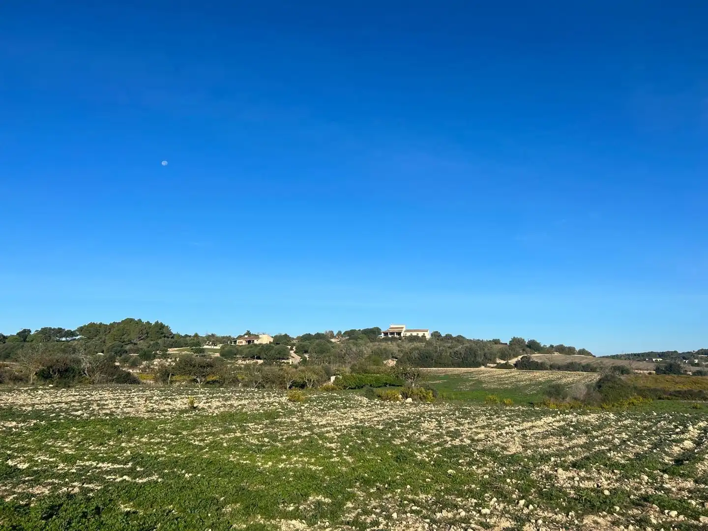Terreny residencial en venda a Carrer Carrer Major 1, imagen 4