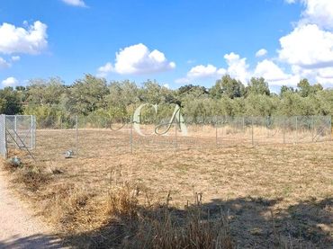 Terrenys i solars en venda a Ribera Baja