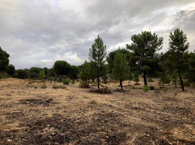 Terreno en Venta en Toro