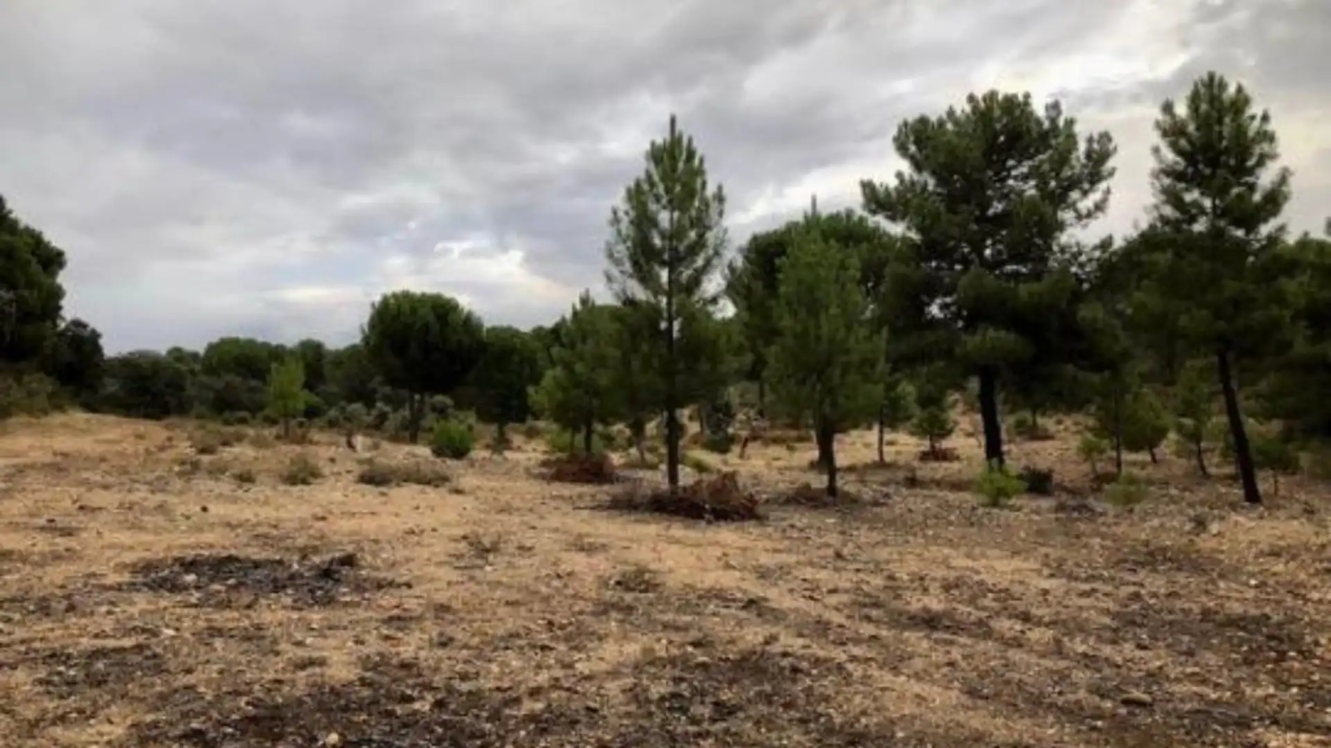 Terreno en venta en Toro