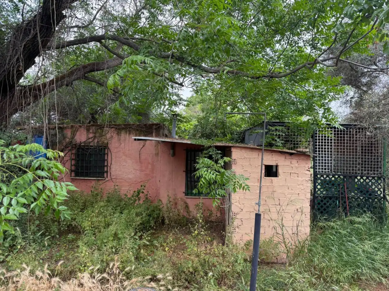 Chalet con jardín en venta en Urbanizacion Tres Palmeras, imagen 11