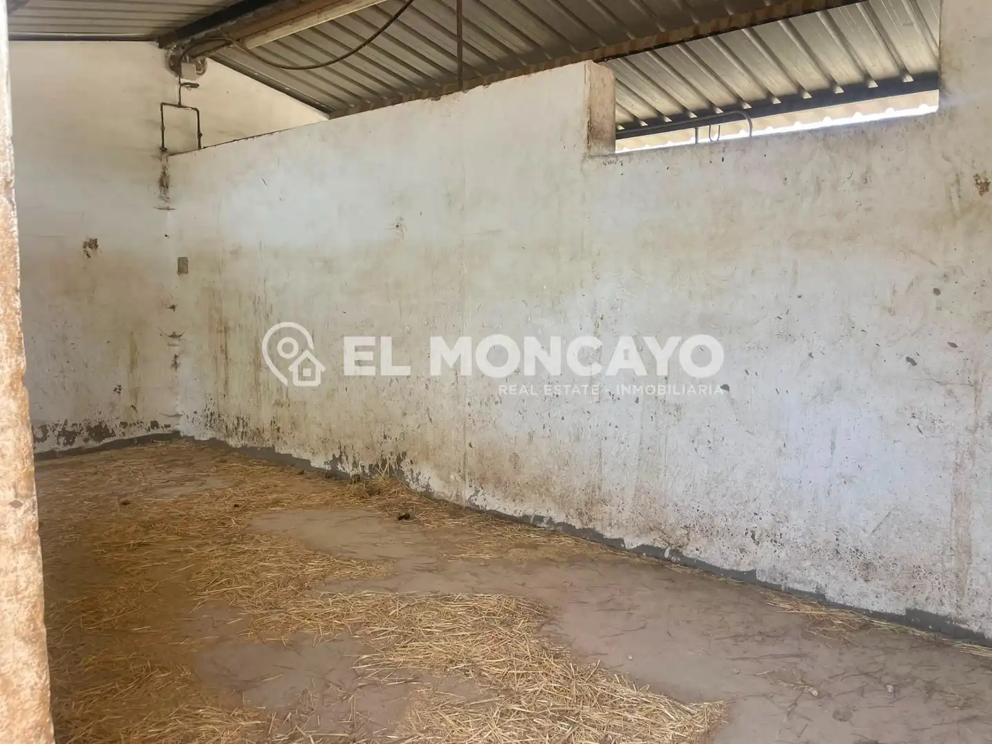 Casa con piscina en venta en Dolores, imagen 38