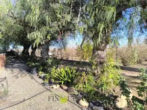 Finca rústica en venta en El Milà