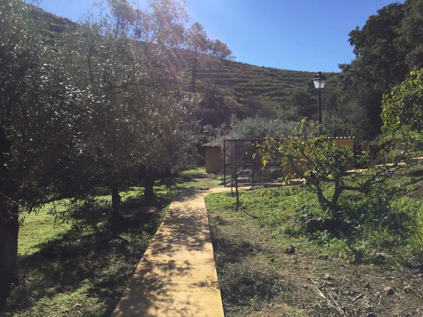 Garten von Country house zum Verkauf in Ojén mit Klimaanlage, Privatgarten und Terrasse