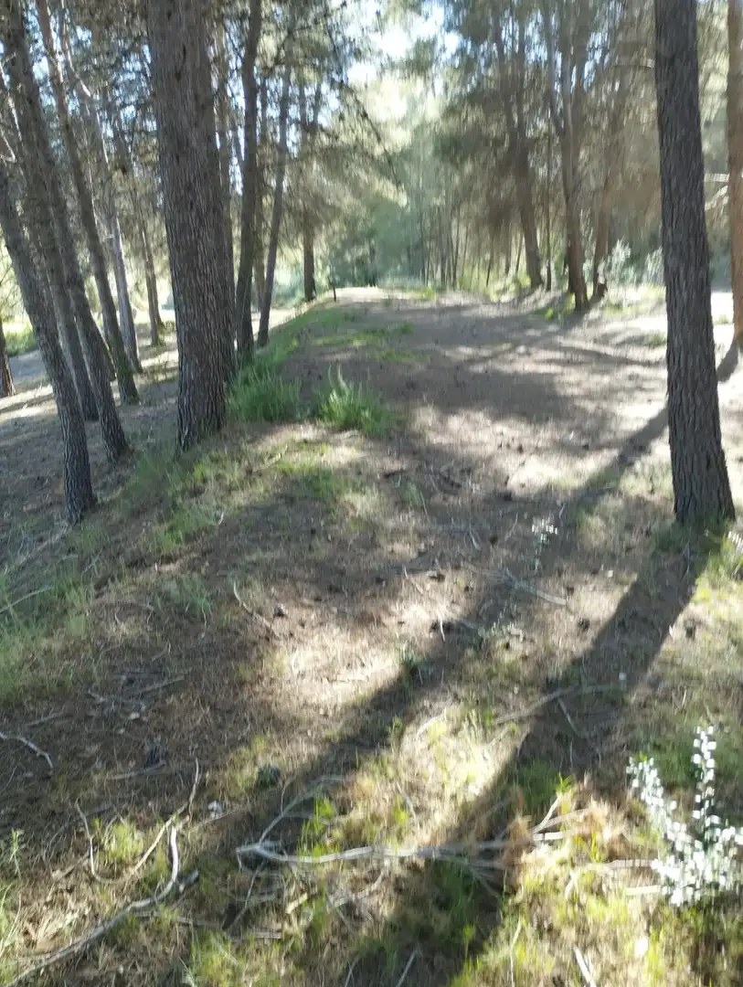 Lands and plots for sale in L'Olleria, imagen 2