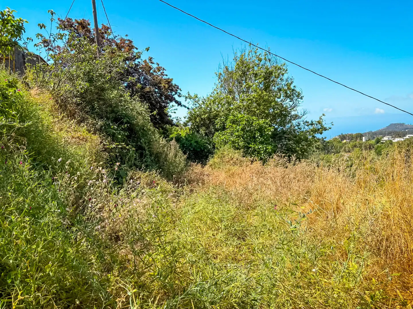 Casa o chalet en venta en Valleseco