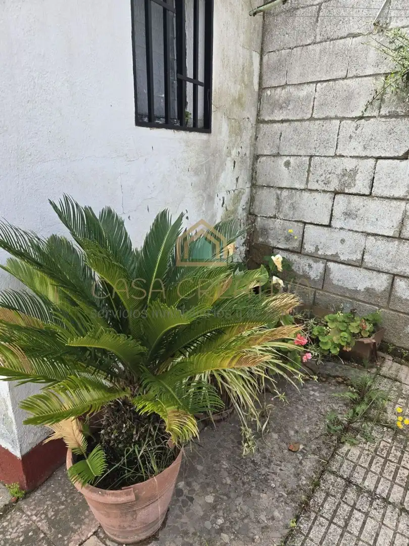 Xalet amb piscina en venda a POLIGONO 15, PARCELA 295, EL RINCON 0, imagen 62