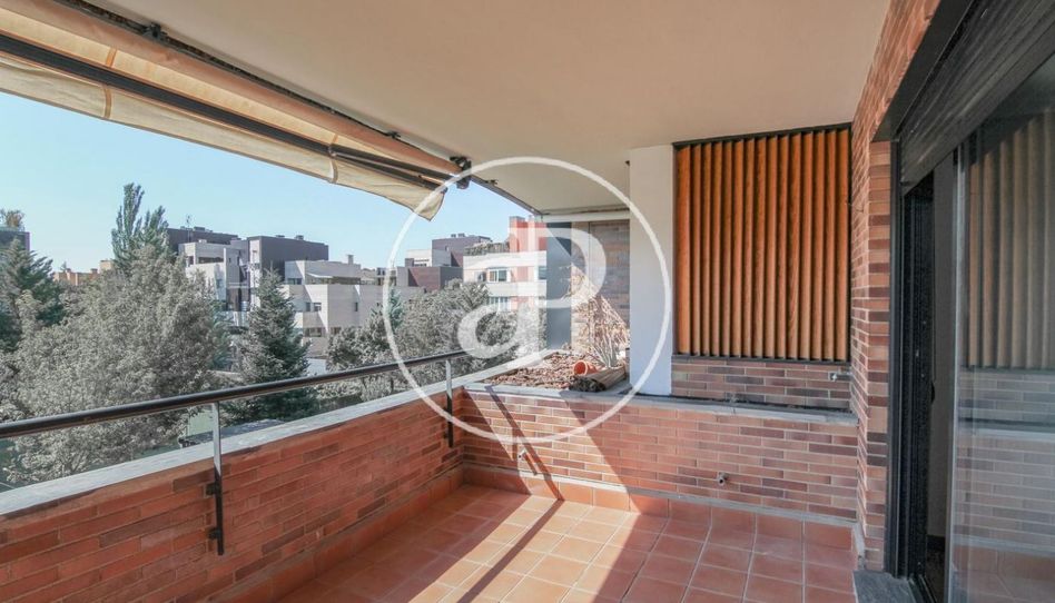 Piso de alquiler en C. de la Hiedra, El Soto de la Moraleja - Imagen 3