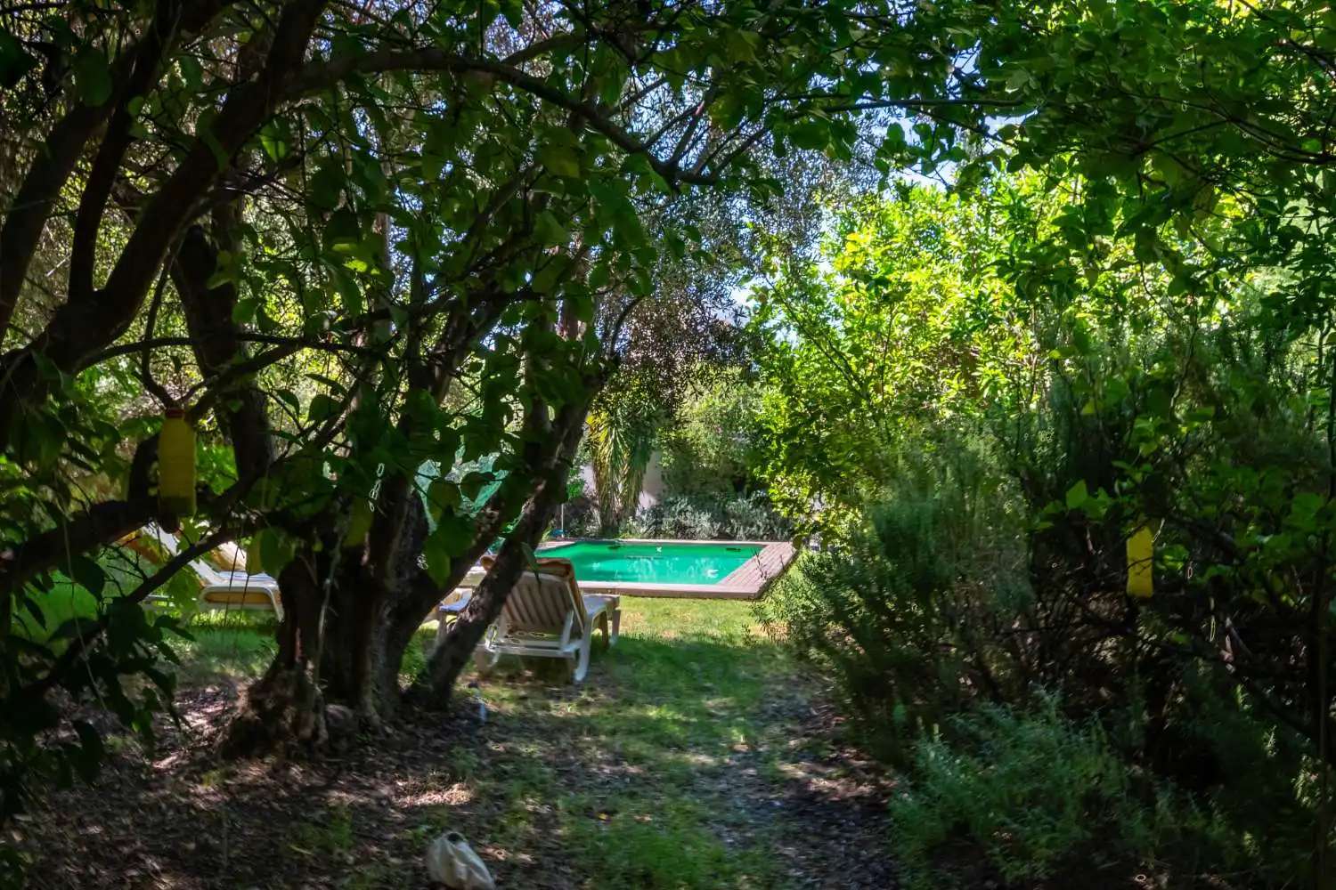 Jardí de Finca rústica en venda en Lecrín amb Piscina