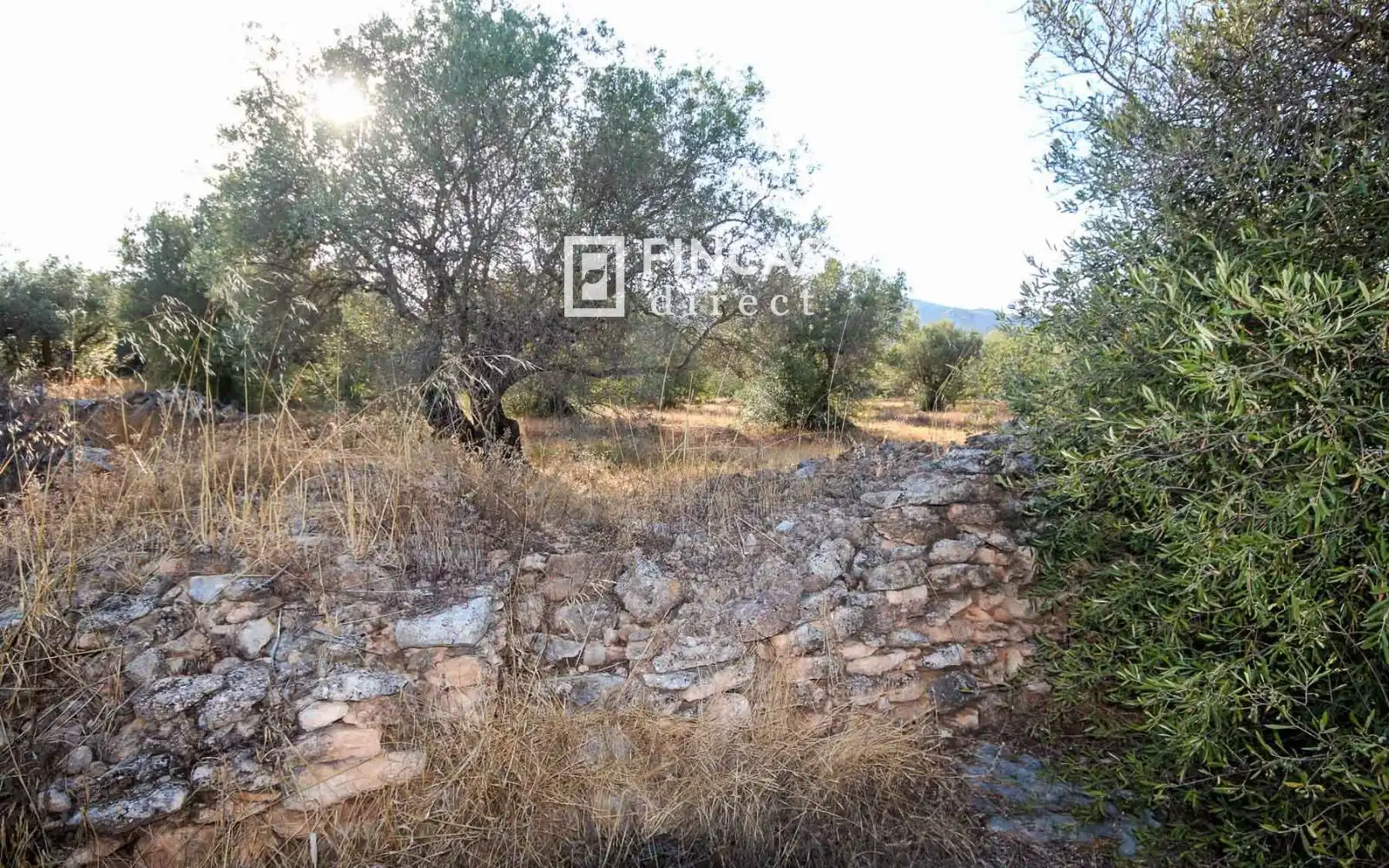Country homes for sale in Xerta