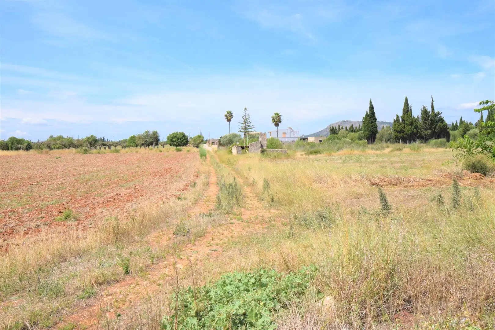 Finca rústica en venda a Llubí