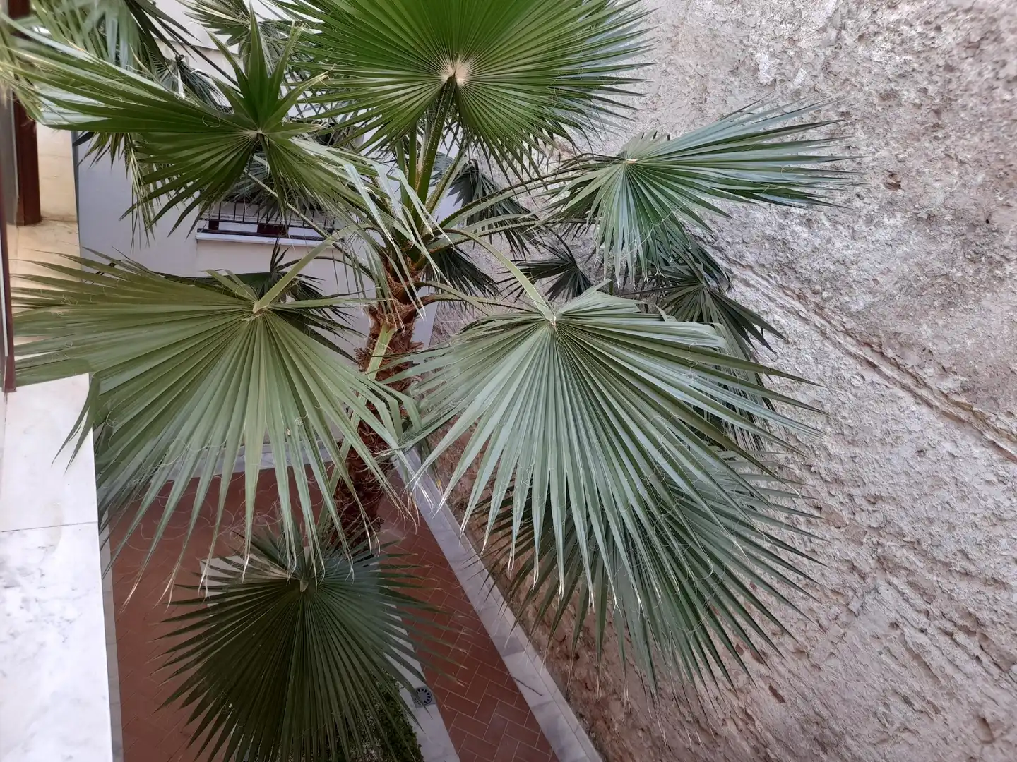 Jardín de Apartamento en venta en Jerez de la Frontera con Jardín privado, Terraza y Trastero