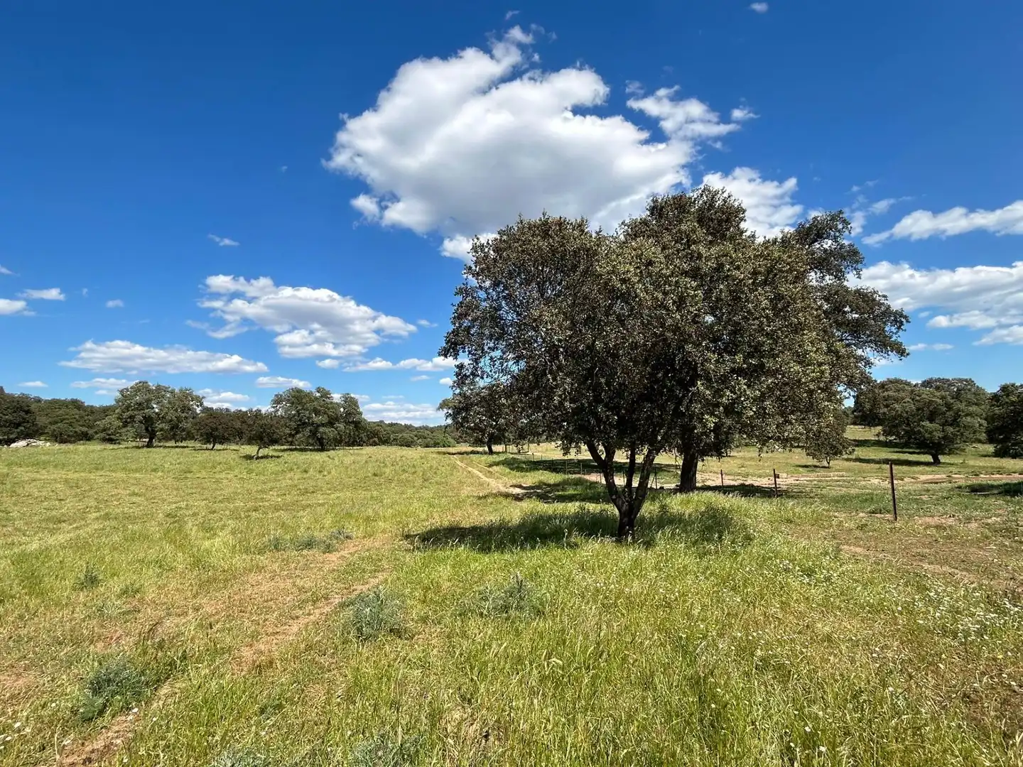 Finca rústica en venta en Alanís