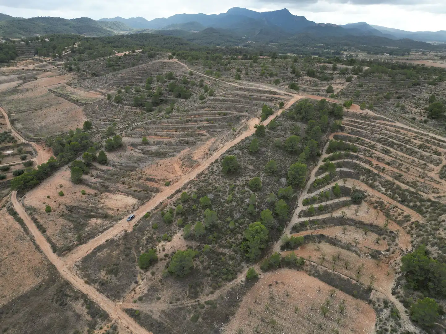 Terreny residencial en venda a Jumilla, imagen 11